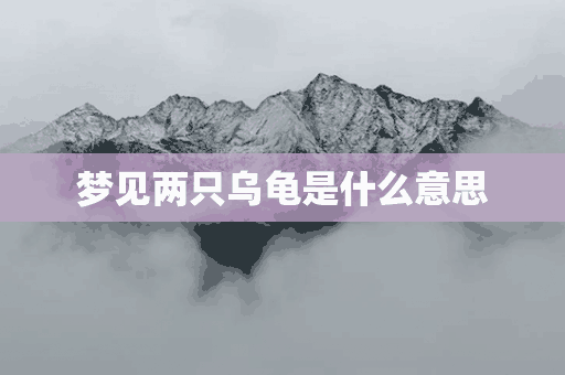 梦见两只乌龟是什么意思